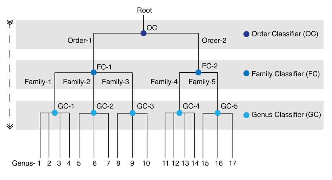 Figure from VirusTaxo paper